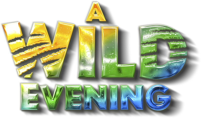 A Wild Evening